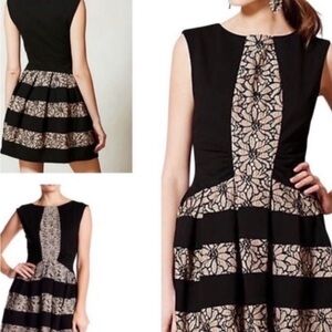 Eva Franco Black Dress with Cream Lace Panels
